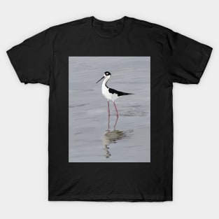 The Black Necked Stilt Bird T-Shirt